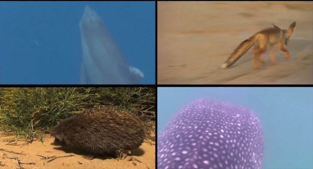 腾博会官网·专业效劳,诚信为本