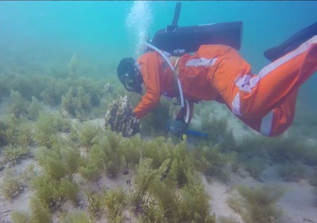 腾博会官网·专业效劳,诚信为本