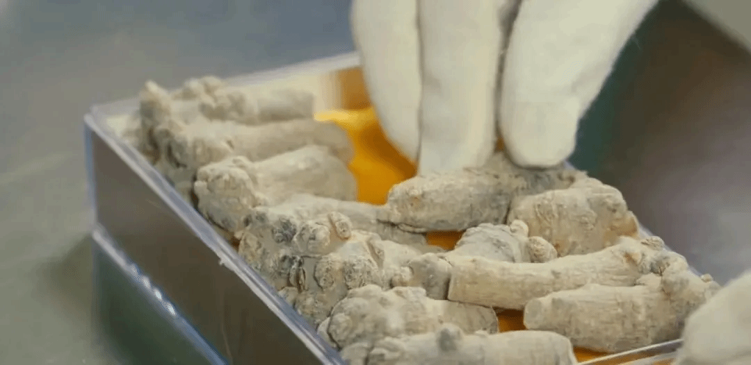 腾博会官网·专业效劳,诚信为本