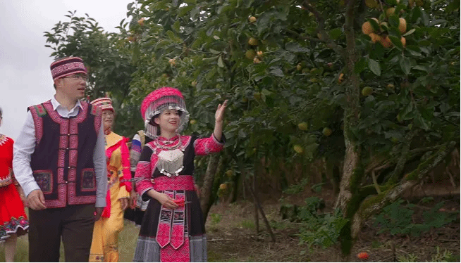 腾博会官网·专业效劳,诚信为本