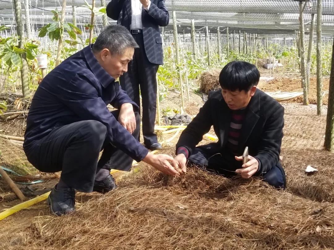 腾博会官网·专业效劳,诚信为本