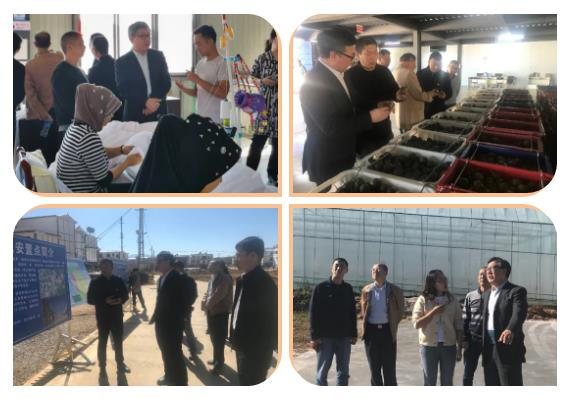 腾博会官网·专业效劳,诚信为本