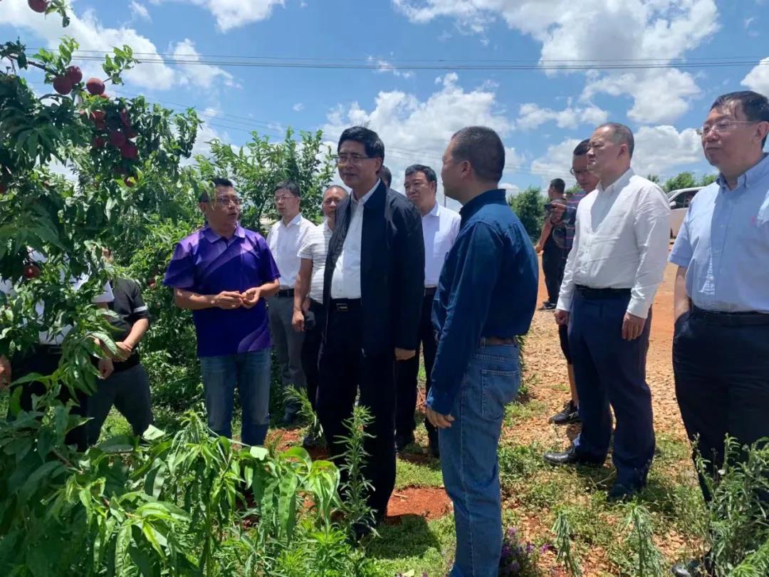 腾博会官网·专业效劳,诚信为本