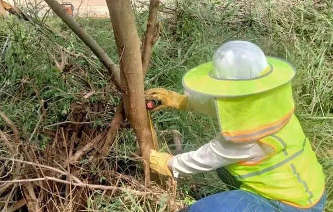 腾博会官网·专业效劳,诚信为本