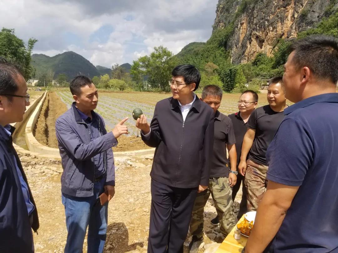 腾博会官网·专业效劳,诚信为本