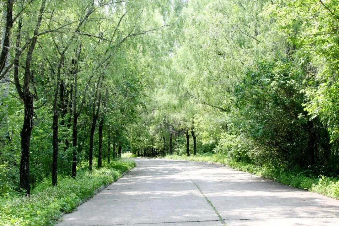 腾博会官网·专业效劳,诚信为本