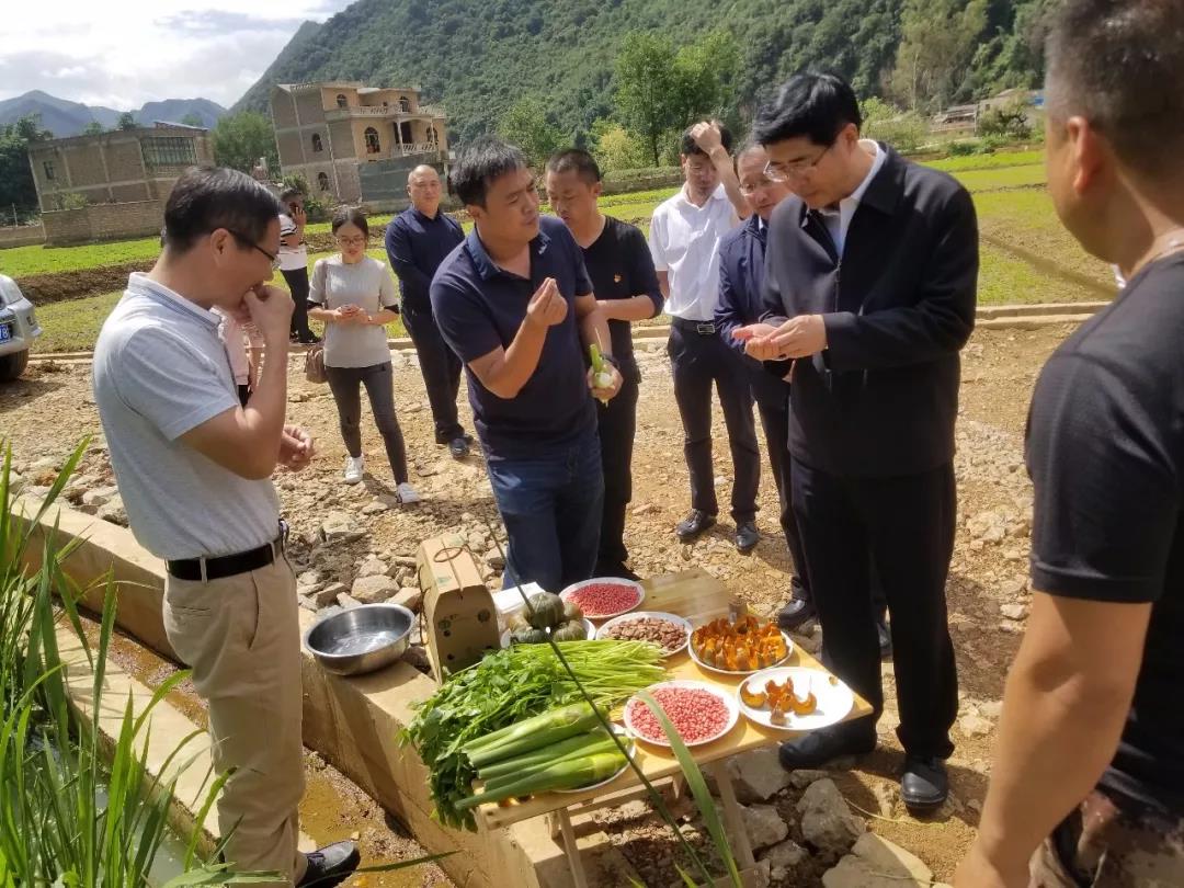 腾博会官网·专业效劳,诚信为本