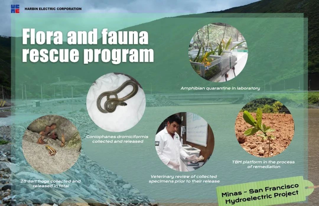 腾博会官网·专业效劳,诚信为本