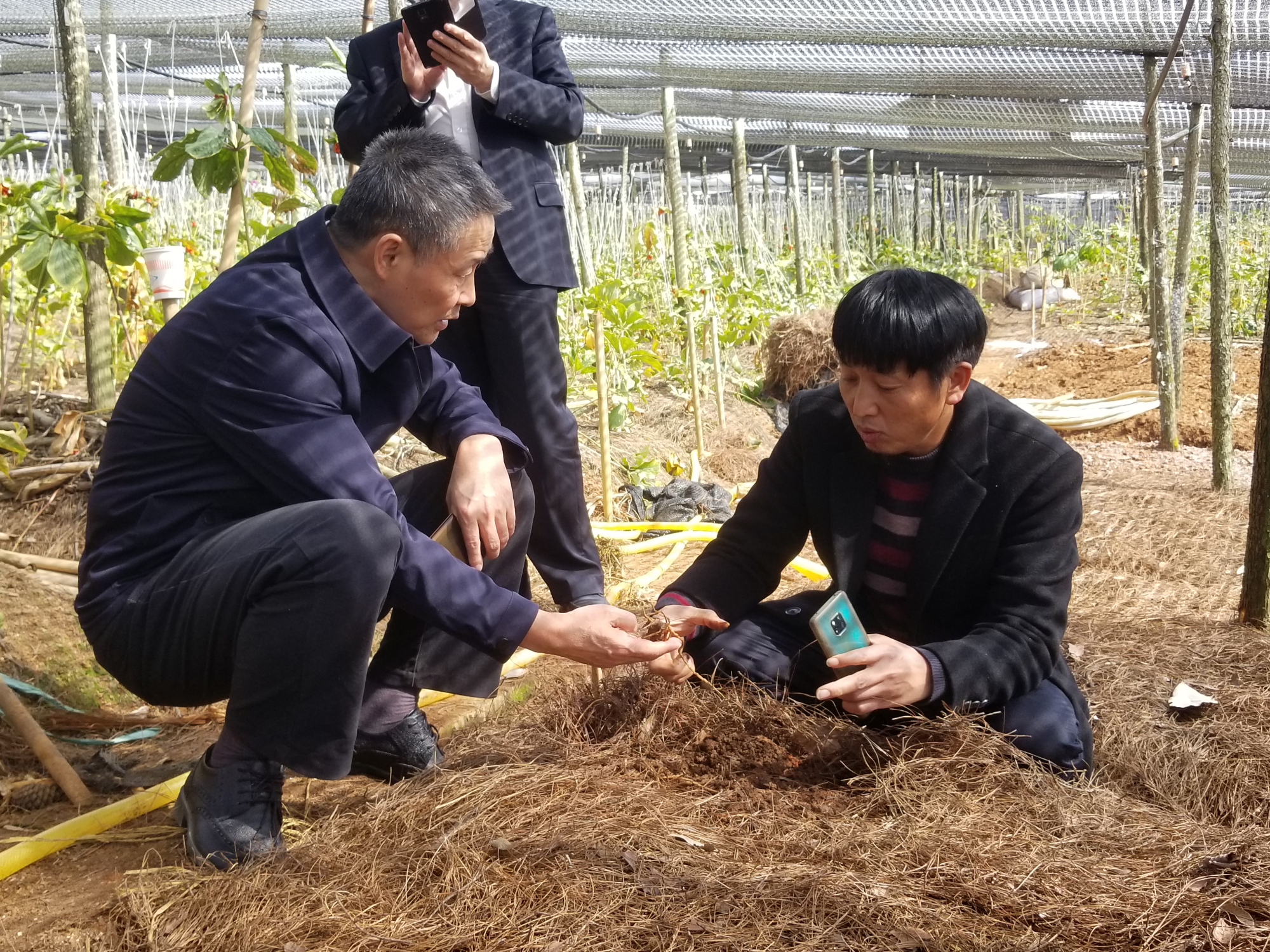 腾博会官网·专业效劳,诚信为本