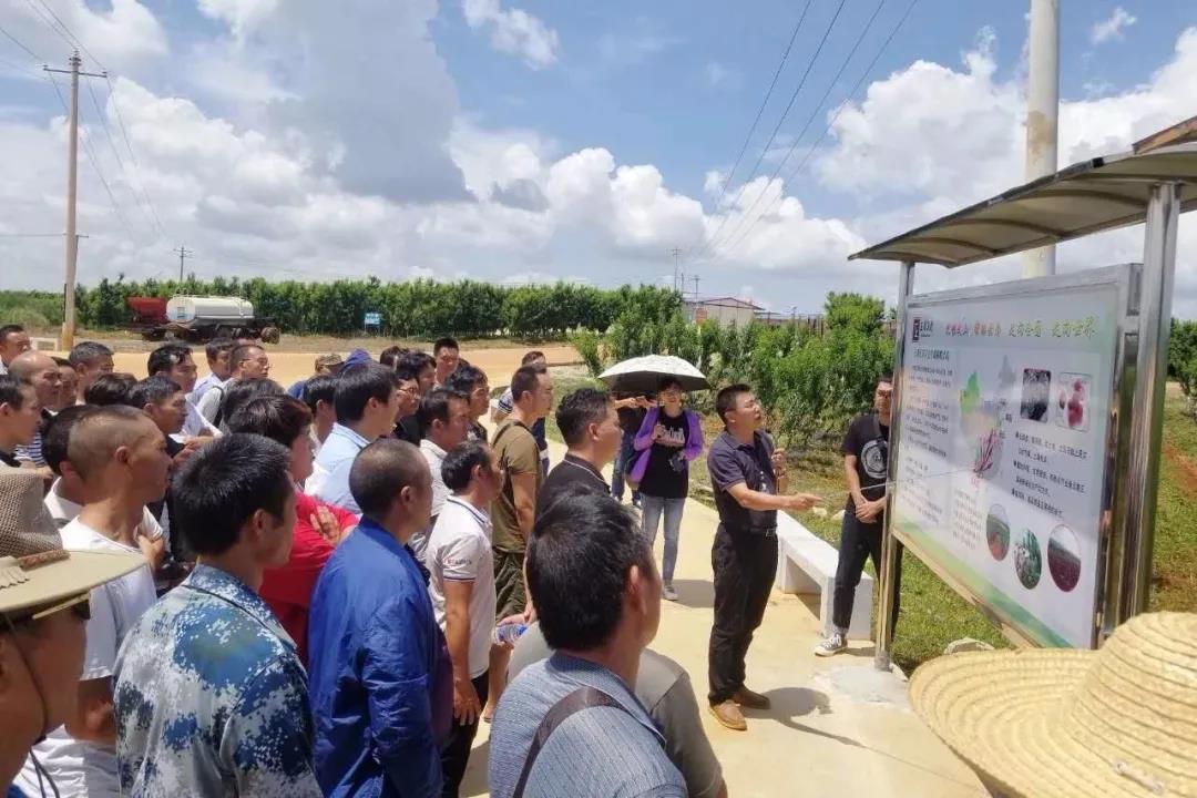 腾博会官网·专业效劳,诚信为本