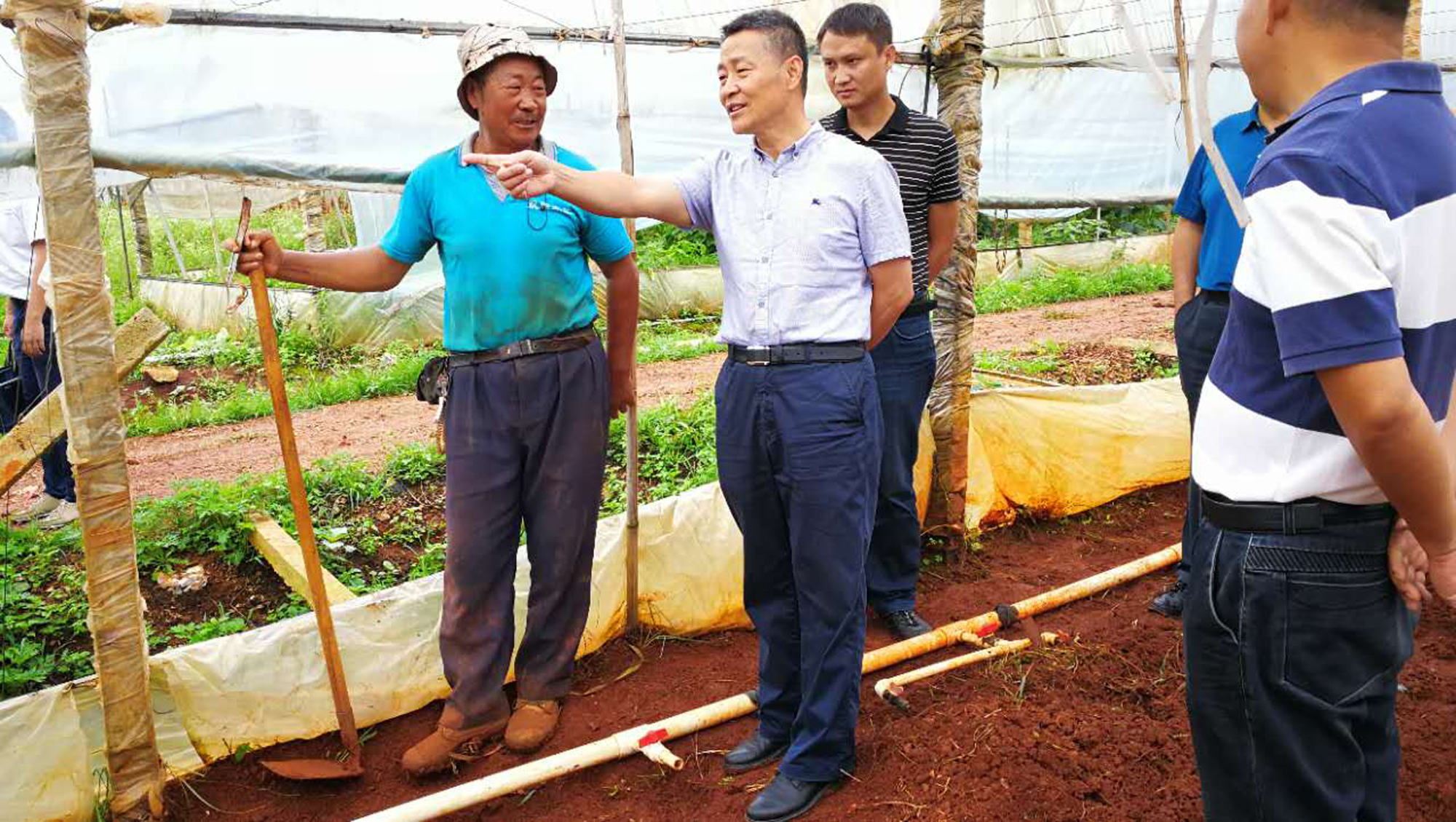 腾博会官网·专业效劳,诚信为本