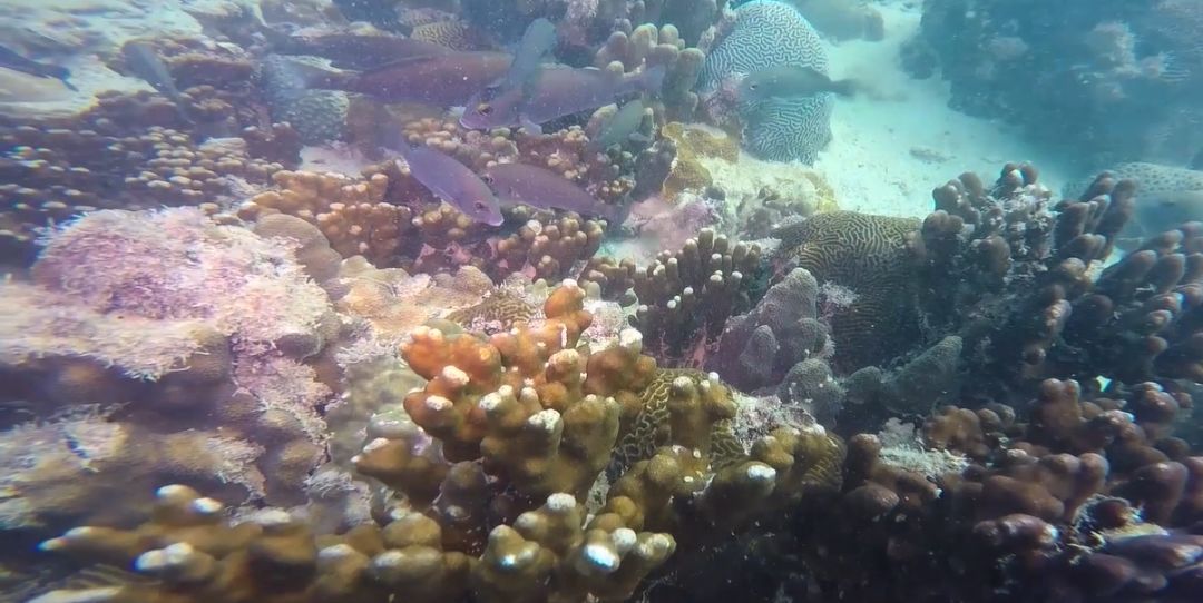 腾博会官网·专业效劳,诚信为本