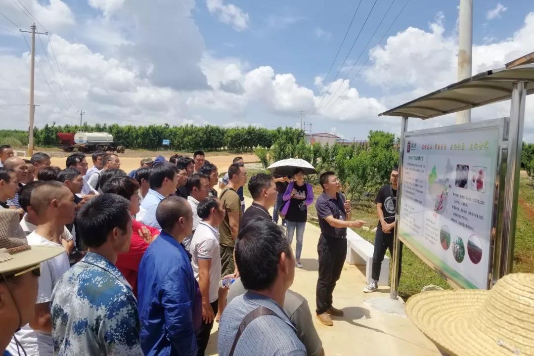 腾博会官网·专业效劳,诚信为本