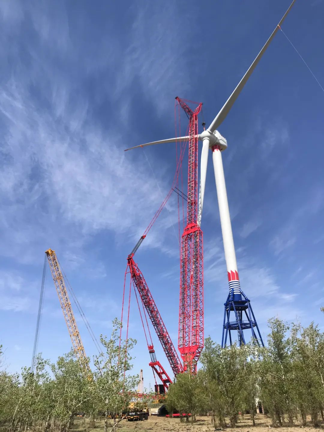 腾博会官网·专业效劳,诚信为本