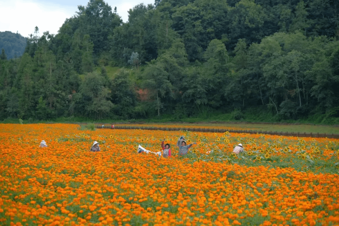 腾博会官网·专业效劳,诚信为本