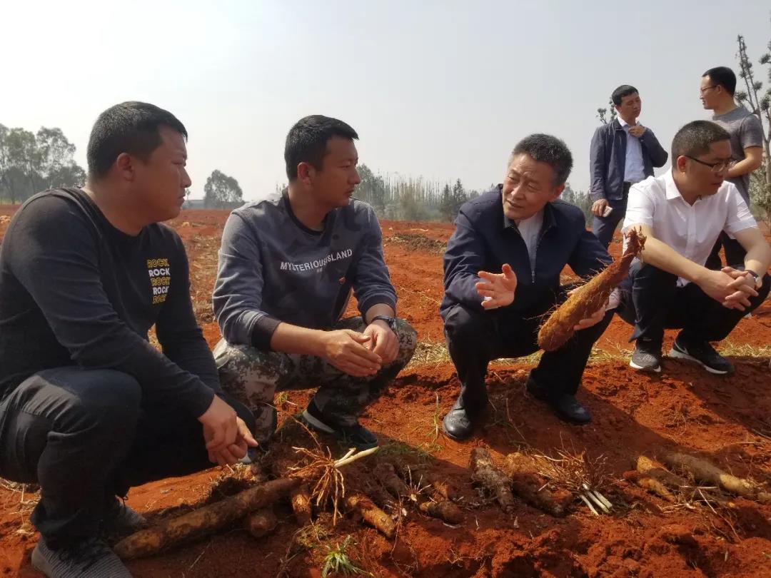 腾博会官网·专业效劳,诚信为本