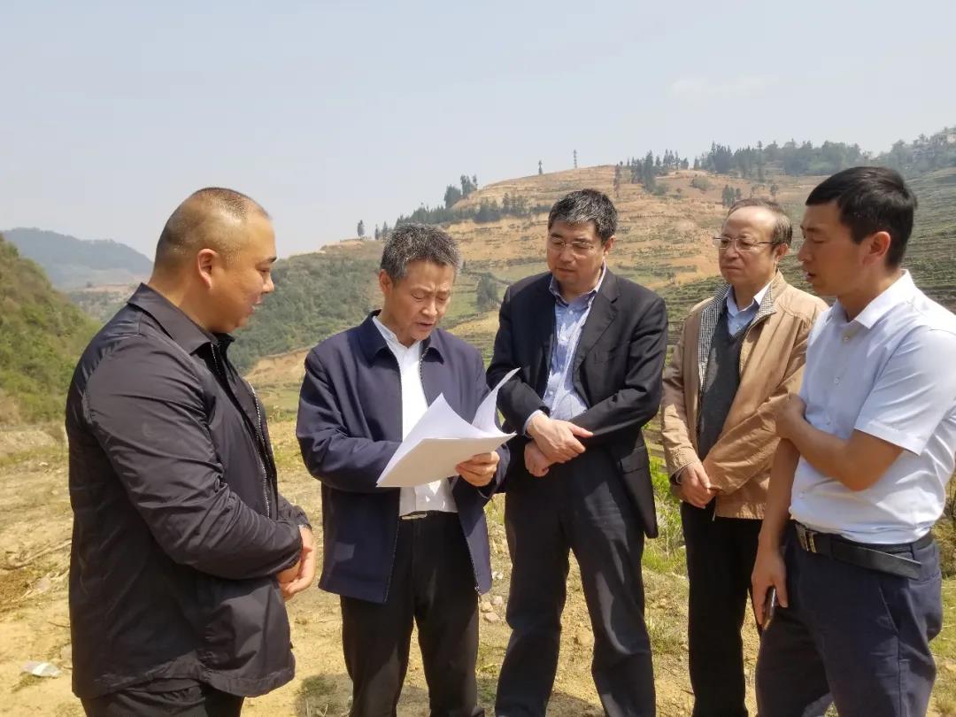 腾博会官网·专业效劳,诚信为本