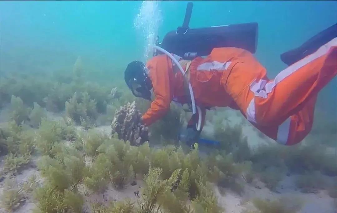 腾博会官网·专业效劳,诚信为本